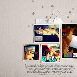 21st Century Cat