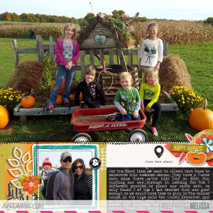 Corn Maze