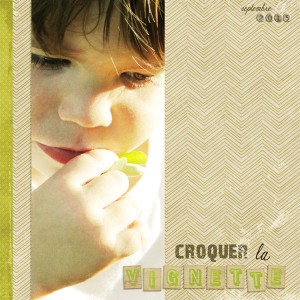Crunching " la vignette"
