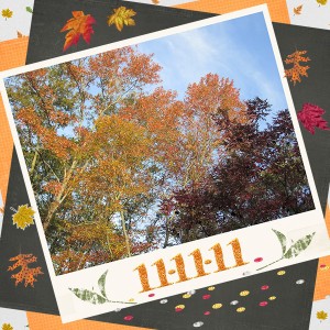Falling for Autumn