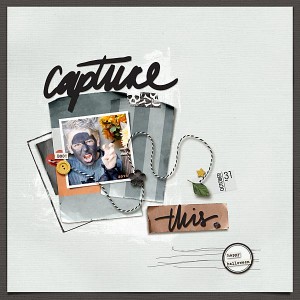 capture this