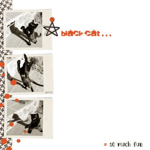 Black cat