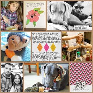 2015 week 38 right