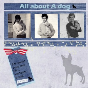 all_about_a_dog