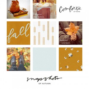 Snapshots of autumn