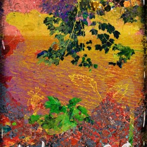 ATC 2015-44 Nature