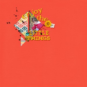 Enjoy the Little Things