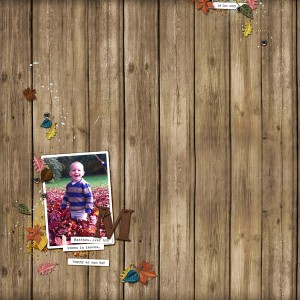 Matthew & the leaves