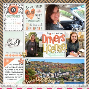 2015 Project Life Week 41 #1 of #4