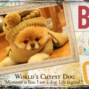 ATC 2015-51 Boo