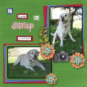 lilypad-oct-2015--kate h template