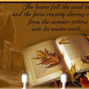 fall memory day 1
