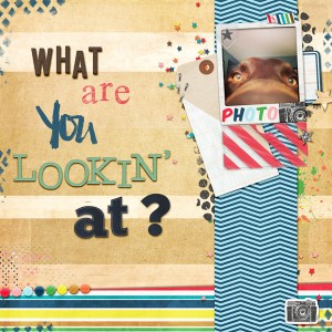 What Are You Lookin