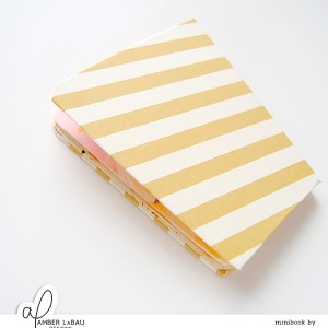 Minibook Cover