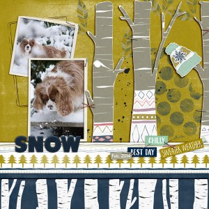 SNOW
