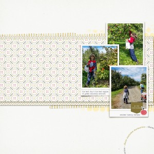 orchard