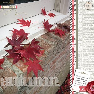 Autumn 2011