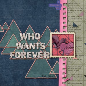 Who Wants Forever