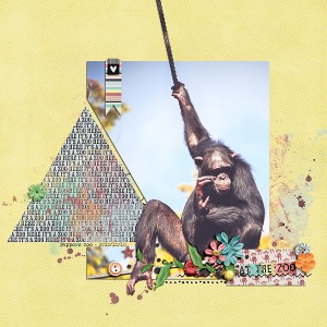 Maruyama Zoo - Sapporo 1