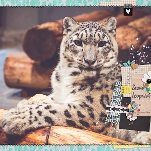 Maruyama Zoo - Sapporo 2