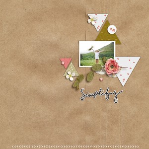Simplify