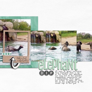Elephant Dip