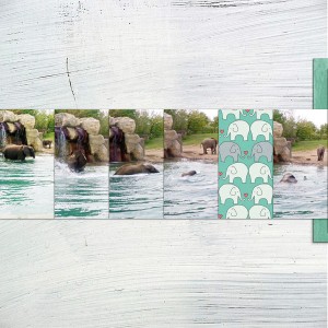 Elephant Dip