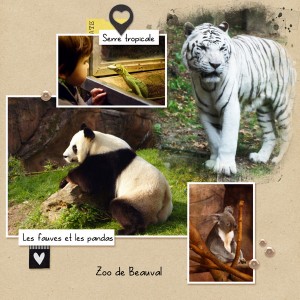 Zoo de Beauval (1)