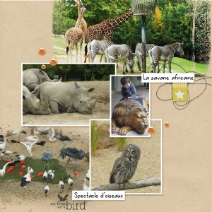 Zoo de Beauval (2)