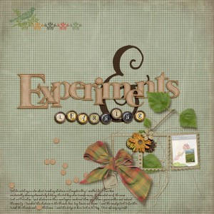 Experiments & Learning