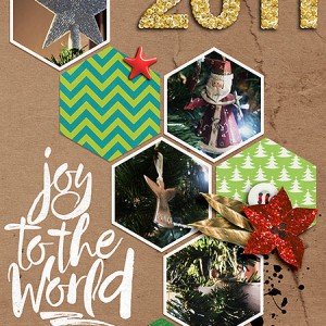 2011 Ornaments