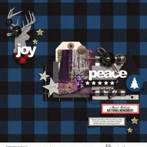 Joy - Peace