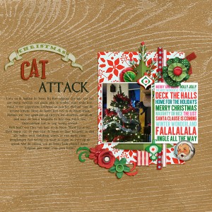Christmas cat attack