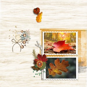 nov scraplift