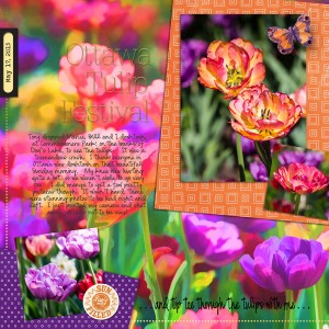 Tip Toe Through the Tulips