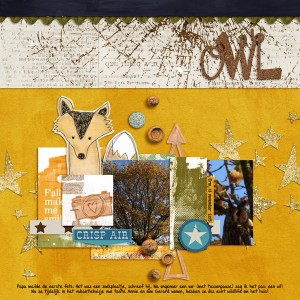 Owl