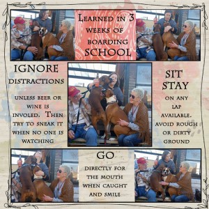 boarding-school-lessons-challenge-fill-it-up