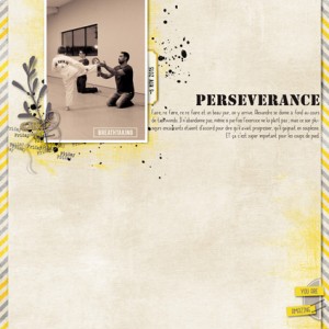 Perseverance