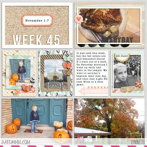 2015 week 45 - left side