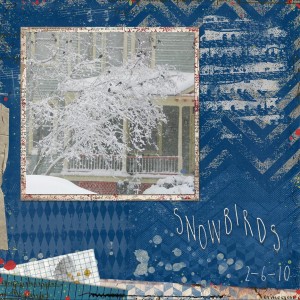 Snowbirds