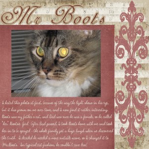 Mr. Boots