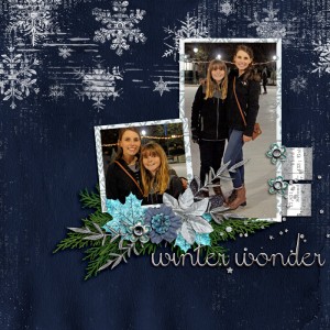 Winter Wonder