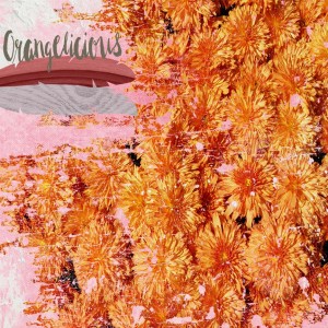 Orangelicious