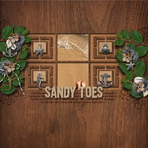 sandy toes