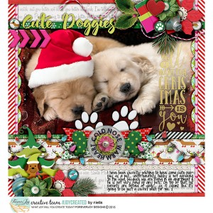 Cute doggies