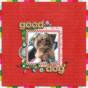 Good Dog