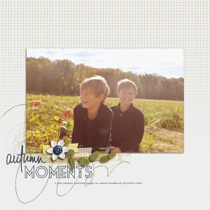 Autumn Moments