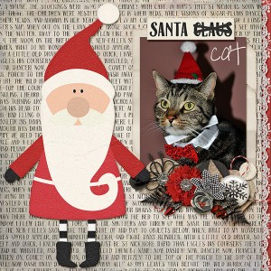 santa cat