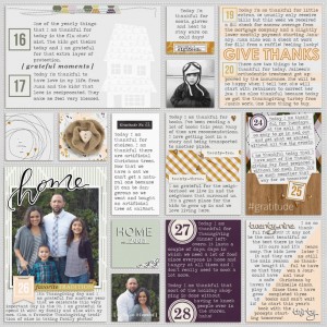 2015 Week 48: 30 days of Gratitude right