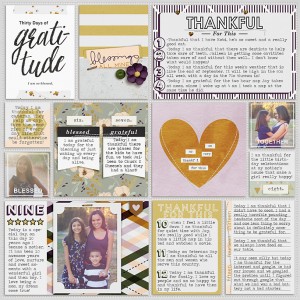 2015 Week 48: 30 days of Gratitude left